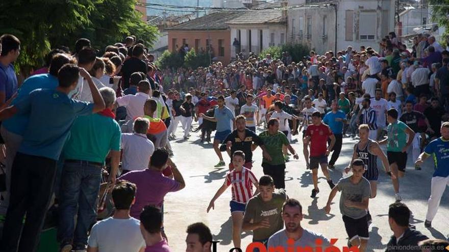 Sexto encierro Feria del Arroz 2015, Calasparra