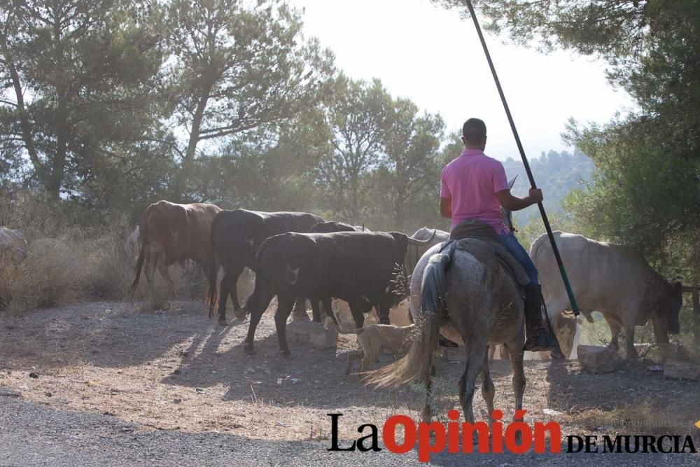 Vereda en Moratalla