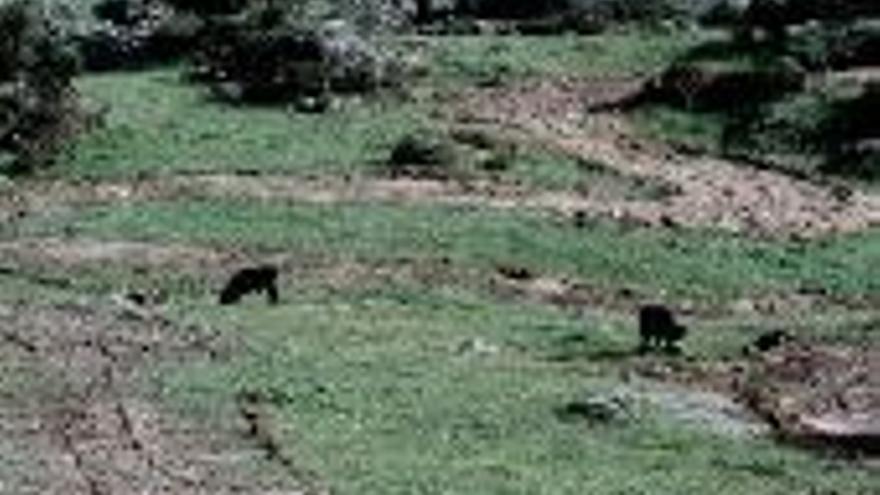 La Junta desautoriza la pista de motocrós de Díaz en Valcorchero