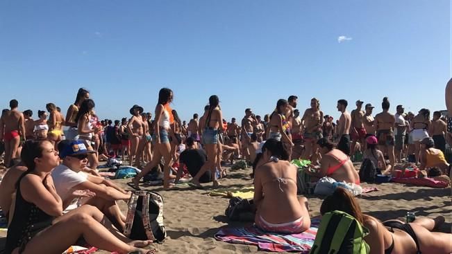 Carnaval de Maspalomas 2017: Fiesta de Carnaval en Playa del Inglés y Entierro de la Sardina