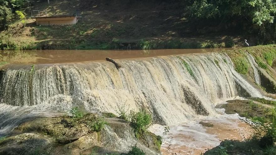 El riu Fluvià ben carregat després de les últimes pluges al seu pas per Olot