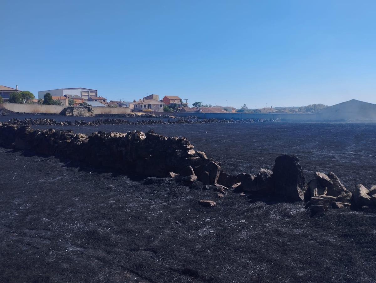 GALERÍA | Importantes daños en el incendio de una nave en Pereruela de Sayago GALERÍA | Importantes daños en el incendio de una nave en Pereruela de Sayago
