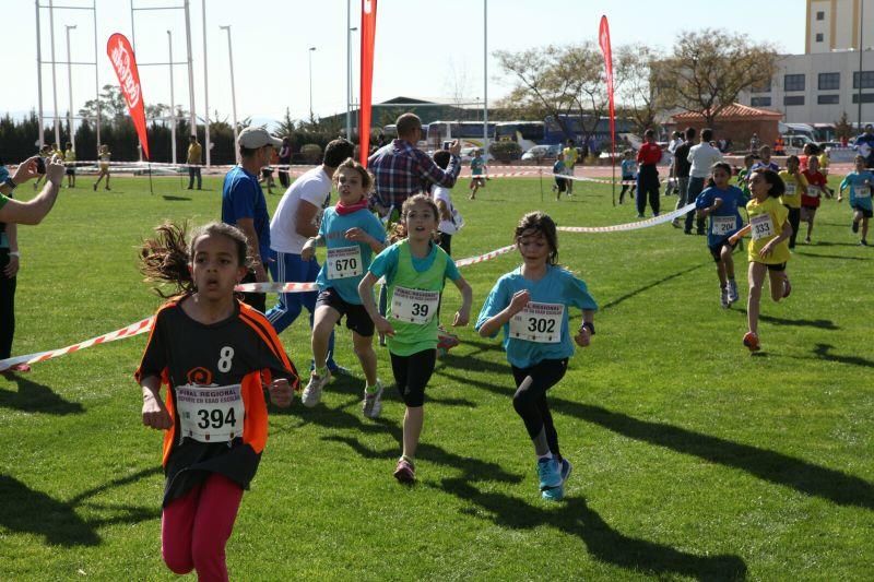 Final Regional de Campo a Través en Edad Escolar