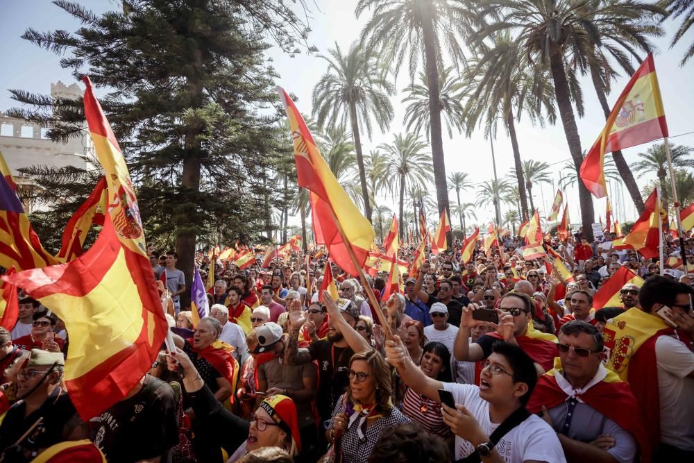 Accidentada manifestación por la