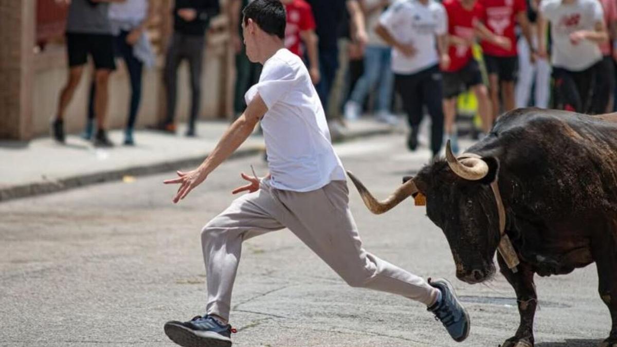 Una imagen de los festejos taurinos en Moncada el pasado fin de semana