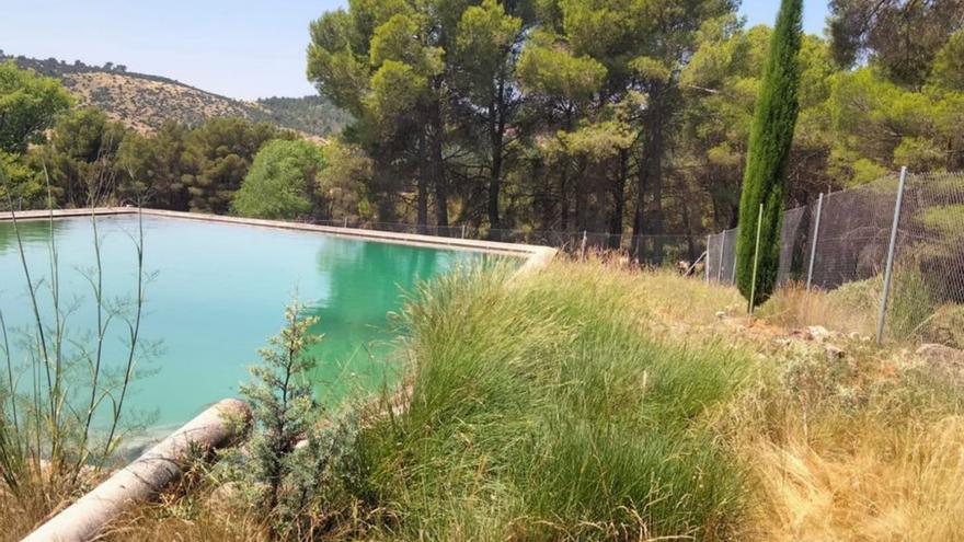 Crearán un reservorio de plantas aromáticas en el vivero de Moratalla
