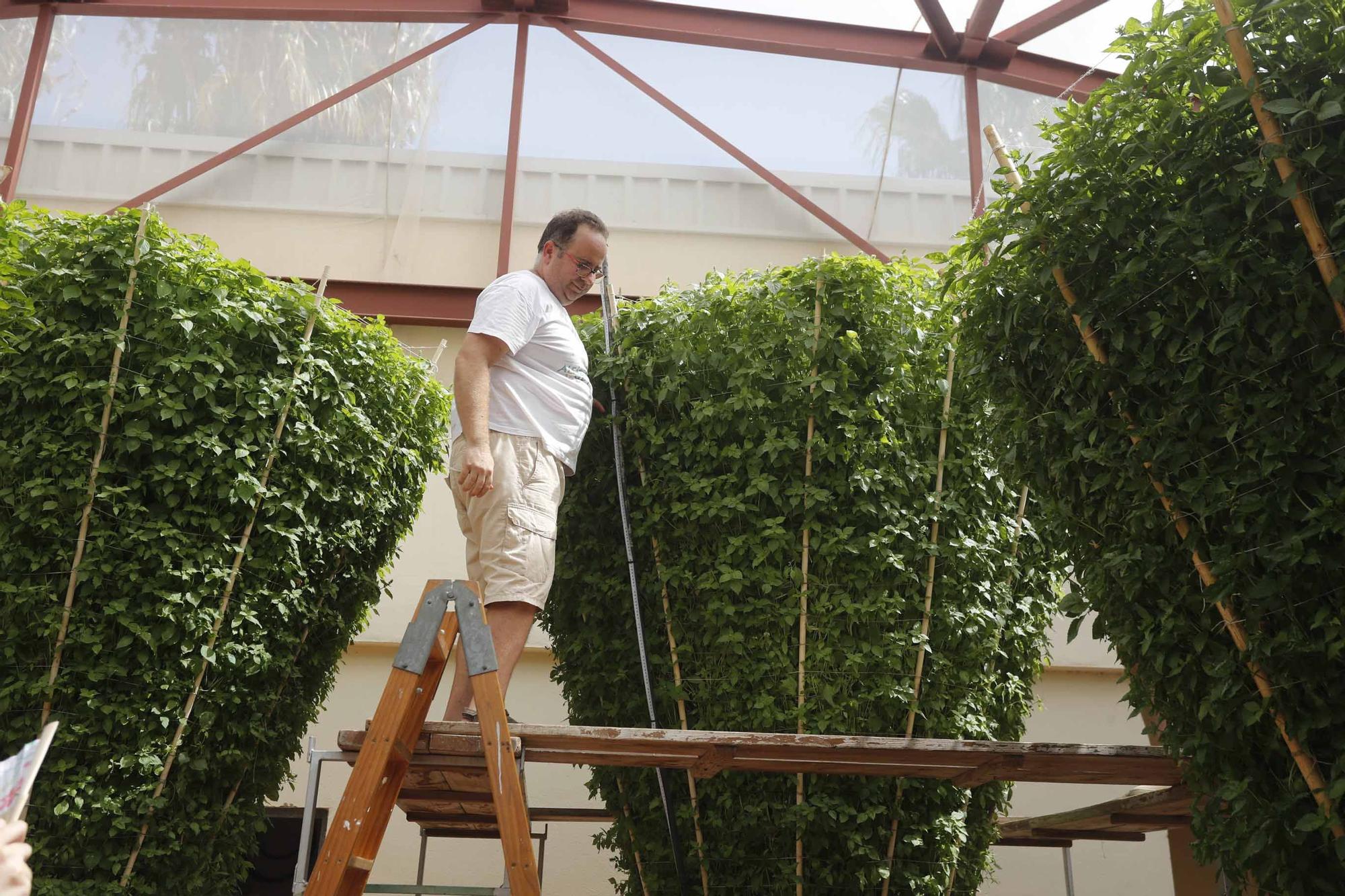 Las alfàguebes de Bétera marcan un nuevo Record Guinness