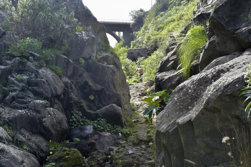 El Guiniguada, un vergel a tiro de piedra