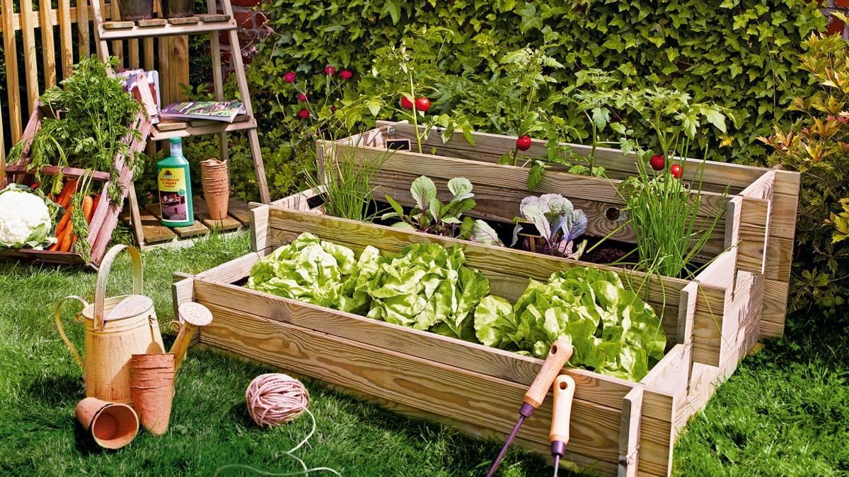 Cómo poner una jardinera en la terraza con plantas