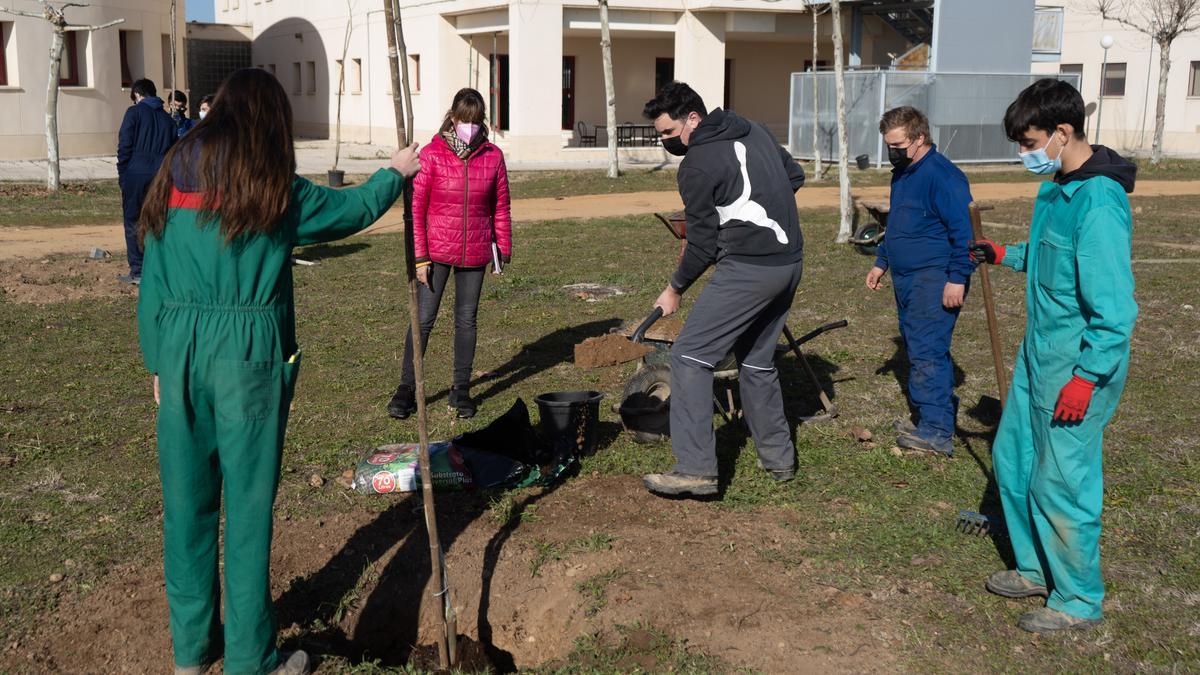 Los alumnos del instituto, la mayoría con el mono de trabajo, preparan la tierra para plantar nuevos árboles en la zona de recreo del IES Alfonso IX.