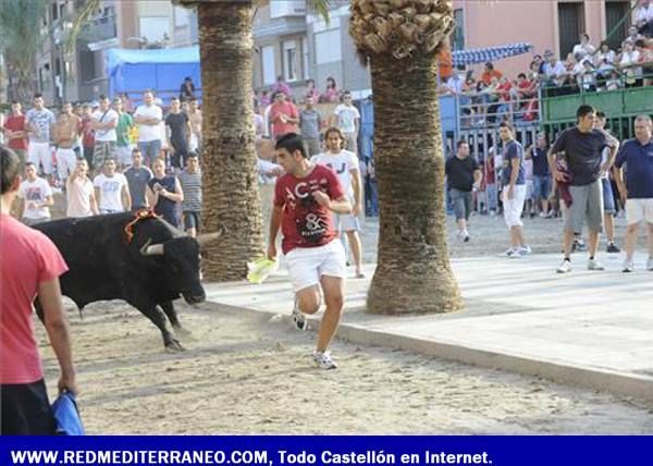 LOS TOROS ASEGURAN LA DIVERSIÓN EN LAS FIESTAS DE SANT PERE