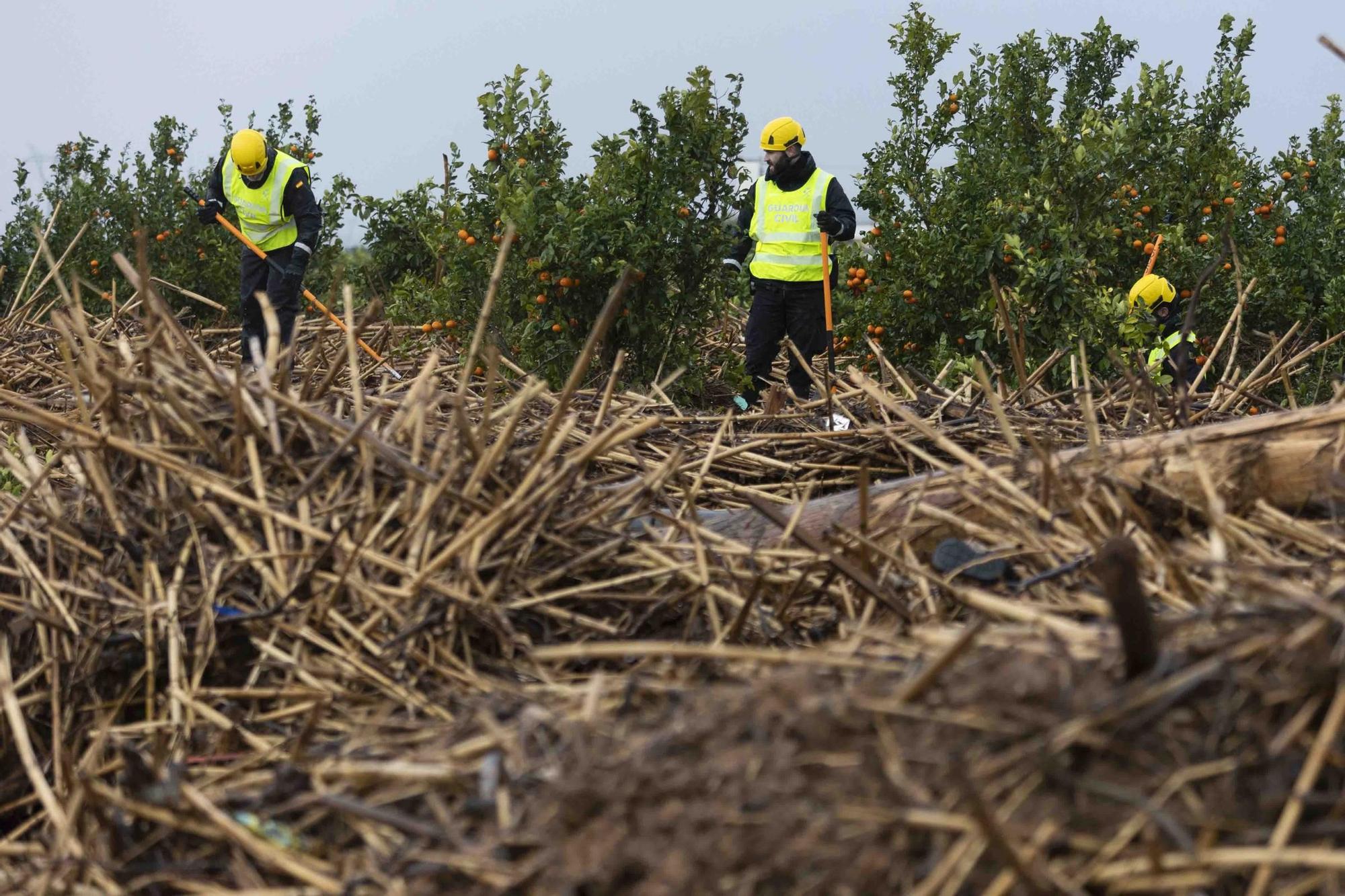 La UME continua la busqueda de desaparecidos