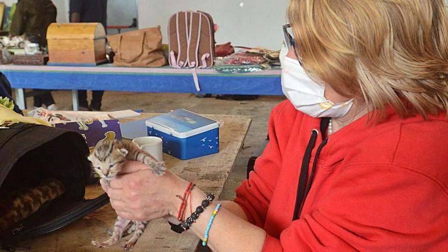 Ángeles Cifuentes con uno de los gatitos rescatados.