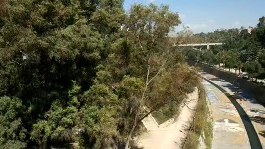 Fuertes rachas de viento en Elche