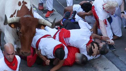 PAMPLONA, 08/07/2025.- Varios corredores caen al paso de uno de los cabestros en el tramo que va desde el final de la cuesta de Santo Domingo a la curva de Mercaderes durante el segundo encierro de los Sanfermines, protagonizado por toros de la ganadería Cebada Gago, este martes, en Pamplona. EFE/ J.P. Urdiroz