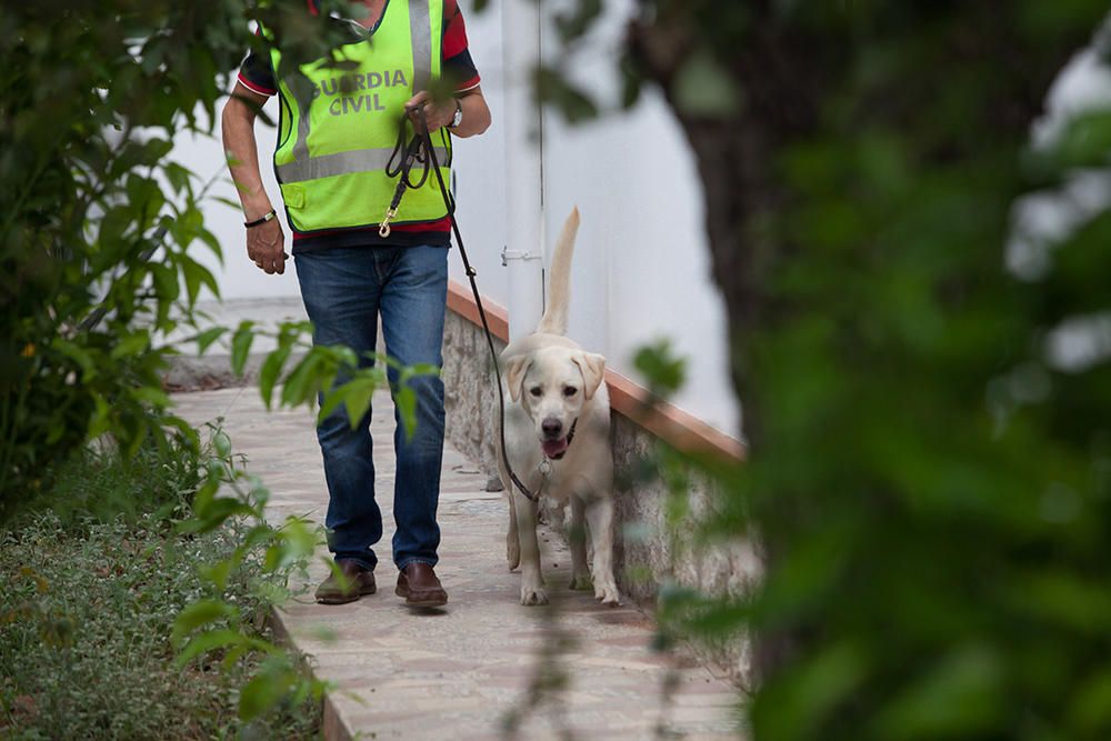 Operación antidroga en ses Païsses