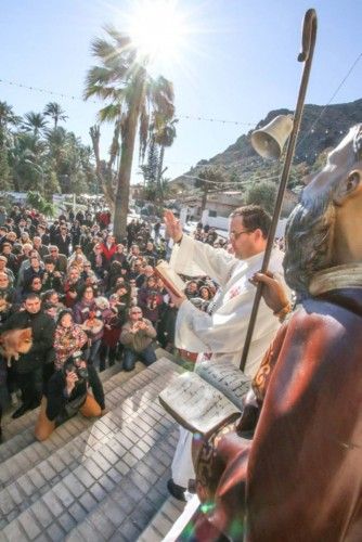 Celebración de San Antón en Orihuela