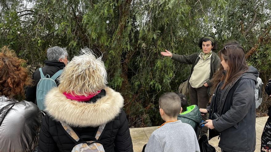 Nules camina y conciencia contra los crímenes que sufre la naturaleza