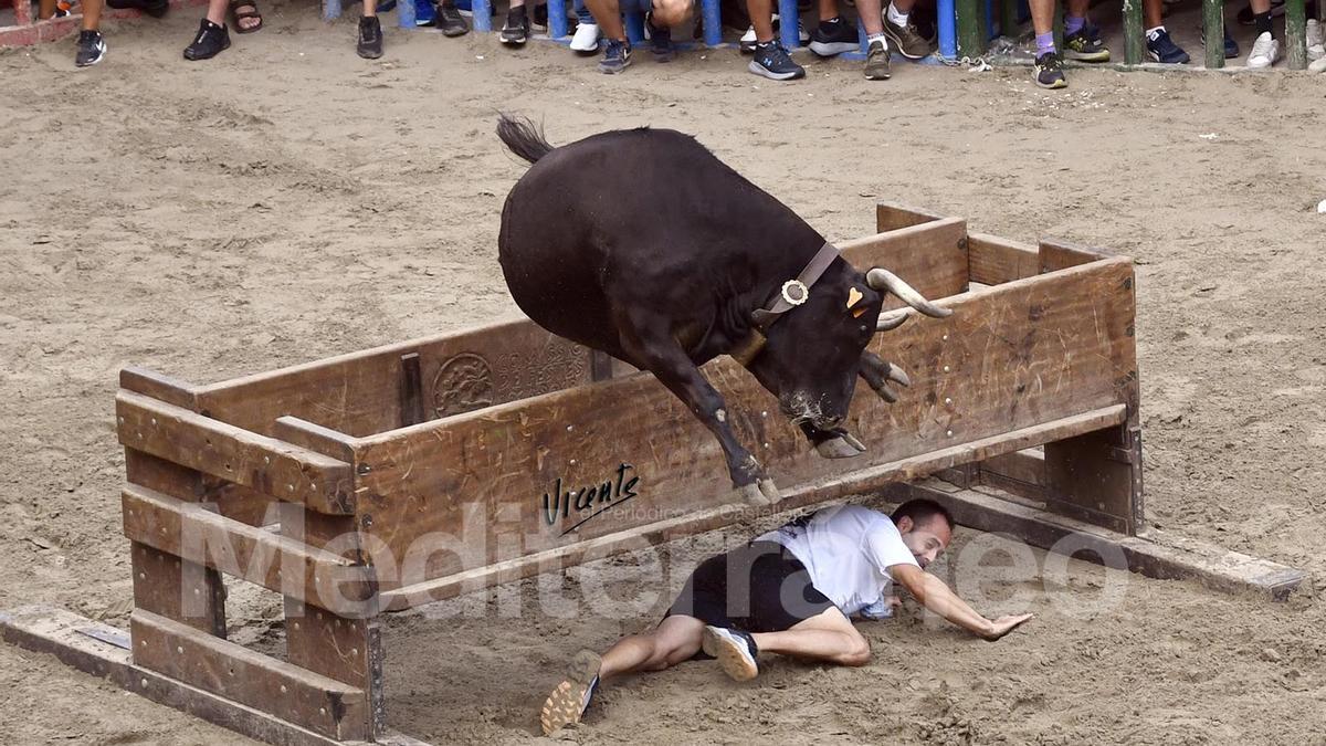 Bous a Vilafamés 2025