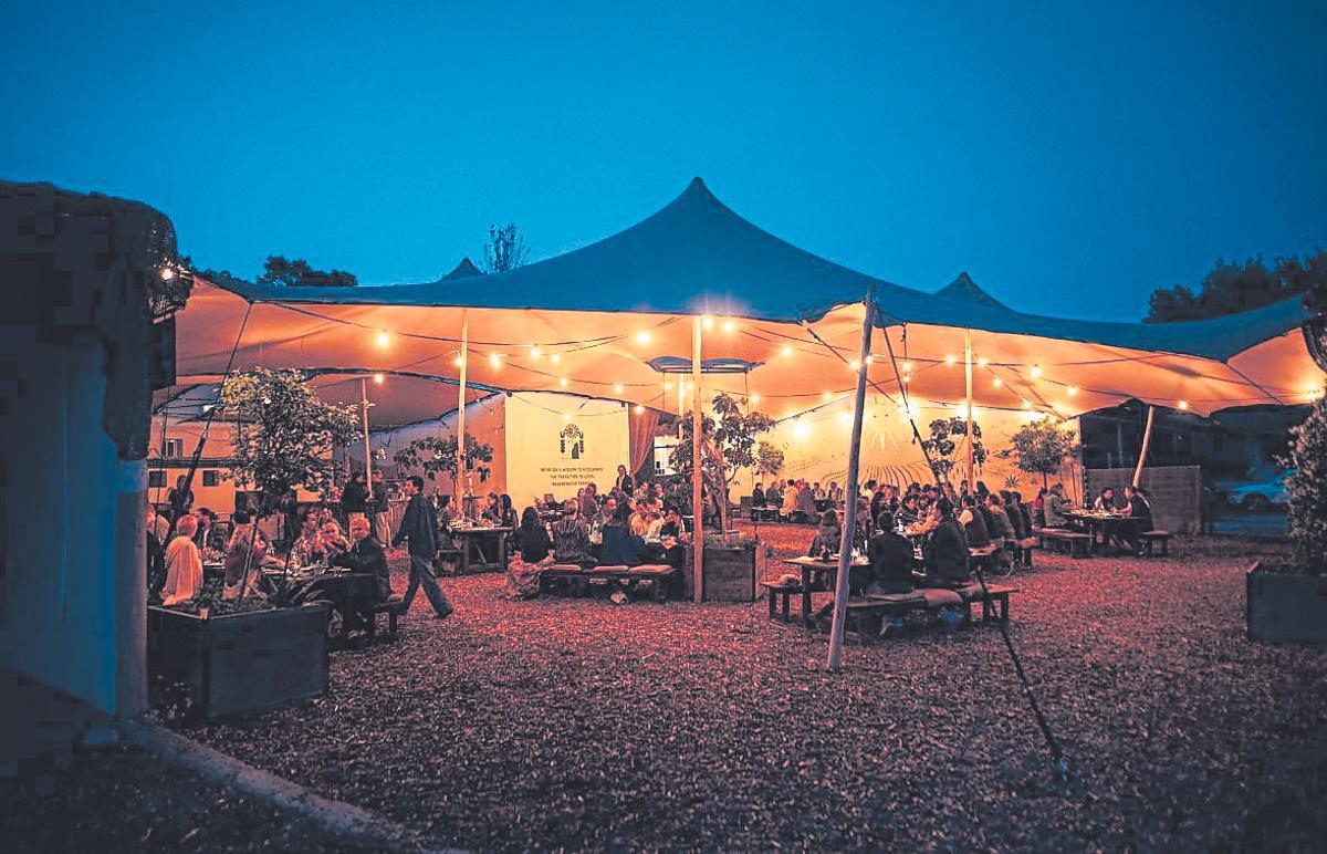 Juntos Farm, a place for meeting and learning near Santa Gertrudis.