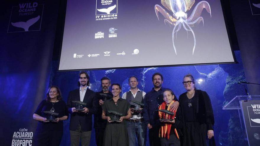 El Acuario de Gijón celebra la "repercusión global" del Wild Oceans FilmFest: competirán 546 obras procedentes de 84 países