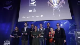 El Acuario de Gijón celebra la "repercusión global" del Wild Oceans FilmFest: competirán 546 obras procedentes de 84 países