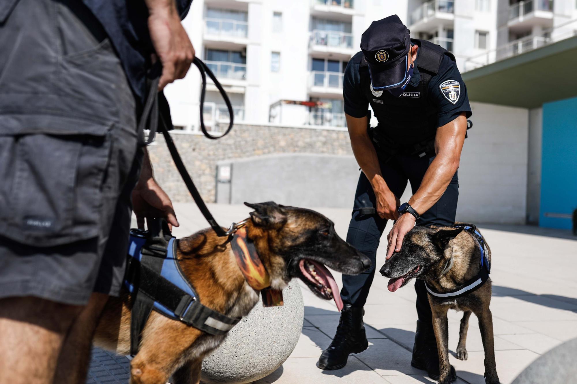 Kata y Mustang, los dos nuevos agentes caninos de Sant Antoni