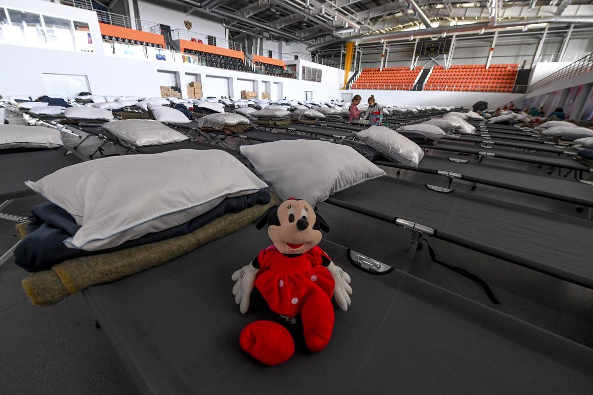 Preparación de un pabellón de refugiados en el estadio Futsal Arena en Ciorescu, Moldavia