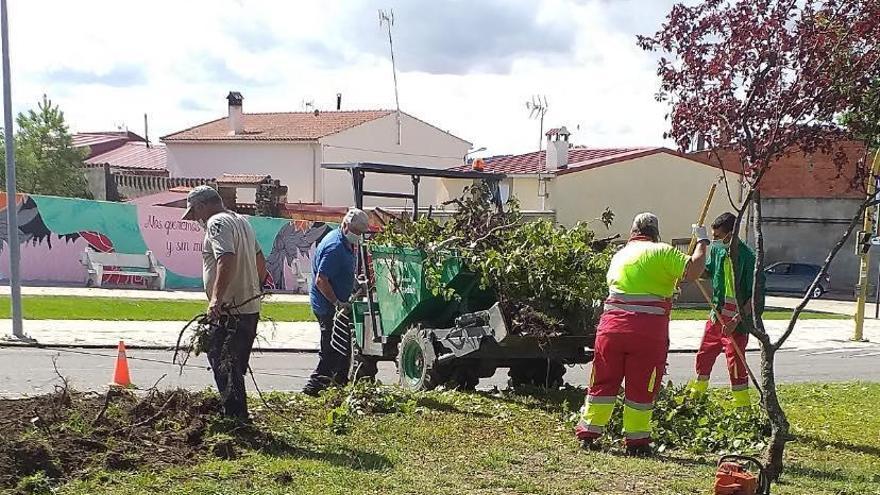 La Mancomunidad Valle del Alagón impulsa 13 contratos con 125.000 euros