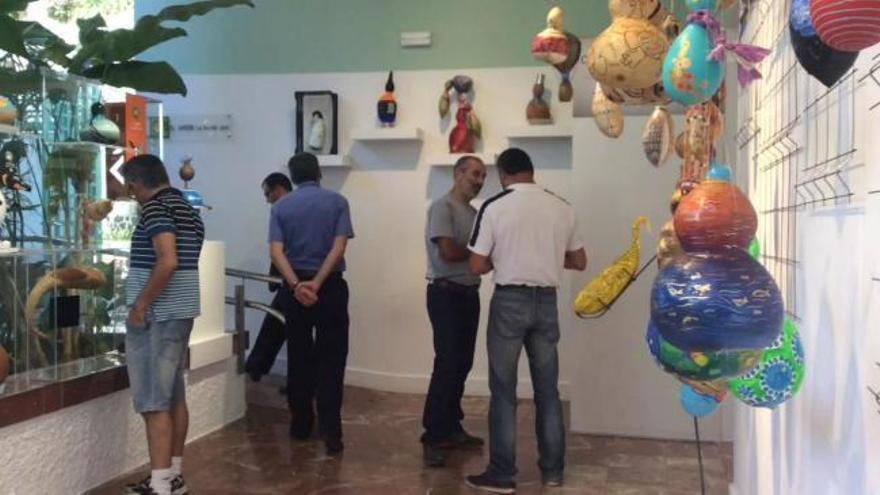 Exposición de calabazas de agua en la Casa-museo Antonio Padrón