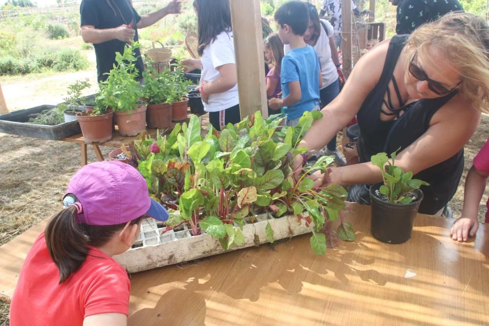 Semana del Medio Ambiente en Alaquàs