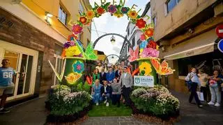 La primavera ya luce en las calles del casco histórico con el inicio de 'Gáldar en Flor'