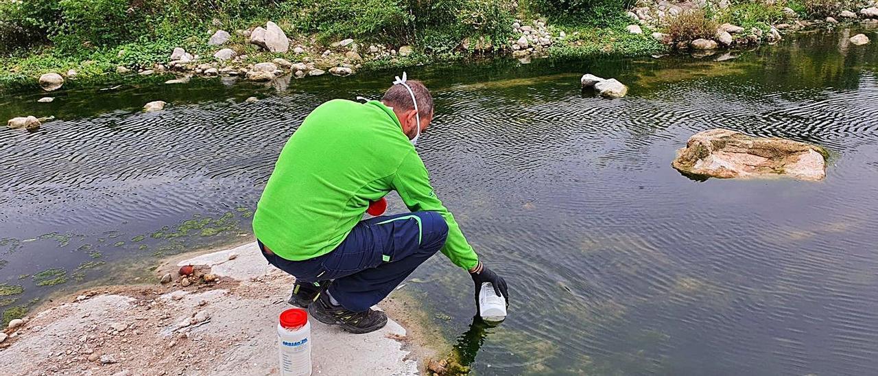 Un técnico recoge agua del Cànyoles, en Moixent, para analizarla, este fin de semana