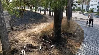 Un fuego de pastos junto a la estación de Renfe de Córdoba hace cundir la alarma vecinal