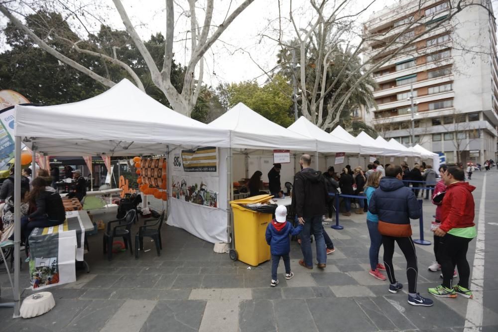 Feria Palma Dona