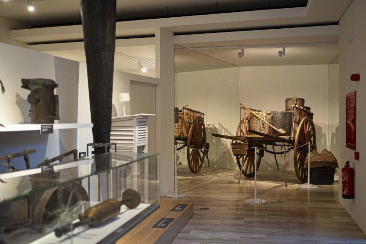 Exposición del Vinseum de Vilafranca del Penedès.