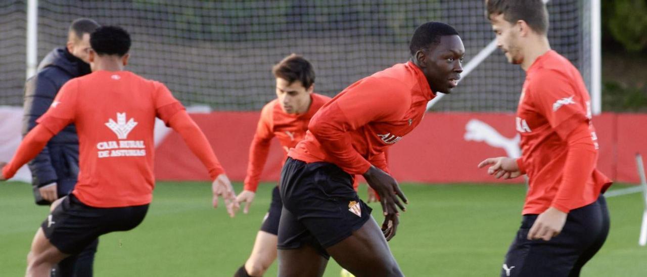 Por la izquierda, Cortés, Gaspar, Amadou y Curbelo.