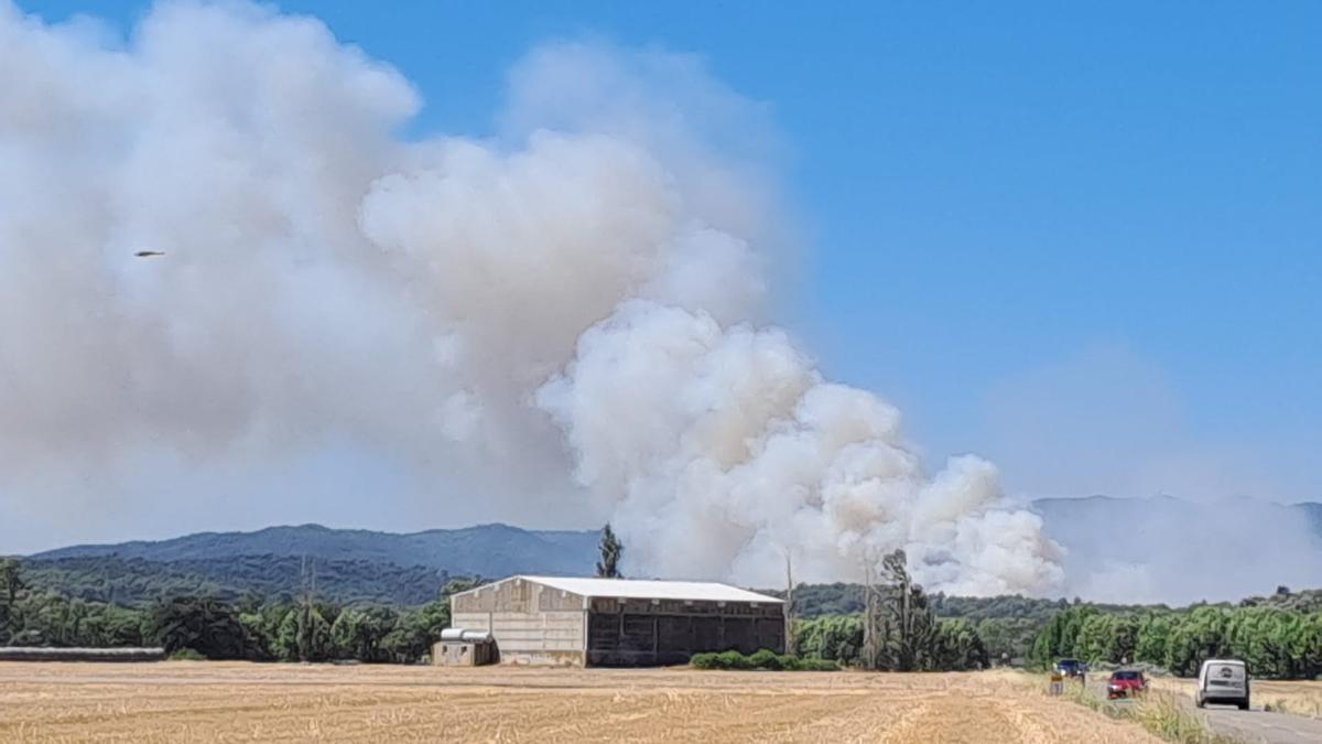 Crema sense control un incendi forestal a peu de les Gavarres a la Bisbal
