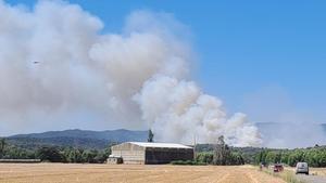 Crema sense control un incendi forestal a peu de les Gavarres a la Bisbal