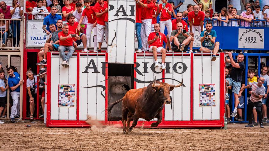 ‘Bou per la vila’ repasa el último año taurino con las mejores fotografías