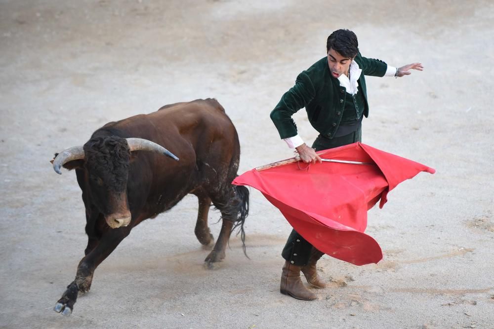 Corre de bou de Cardona