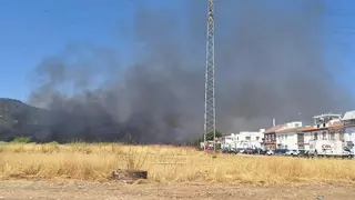 Incendio de pastos en la carretera de Trassierra, en una zona detrás de Hipercor