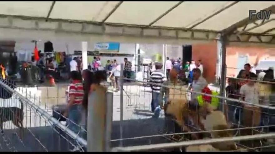 Vila de Cruces muestra su pasión canina