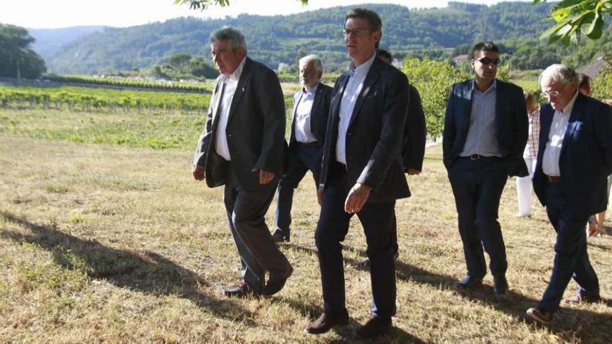 Núñez Feijóo, en su visita a los viñedos de la bodega Priorato de Razamonde, en Cenlle. // Jesús Regal