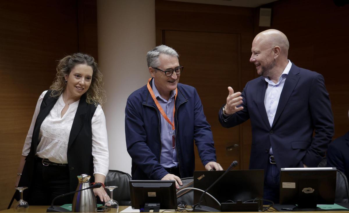 El síndic major, Vicent Cucarella, en una comparecencia en las Corts el pasado mes de octubre.