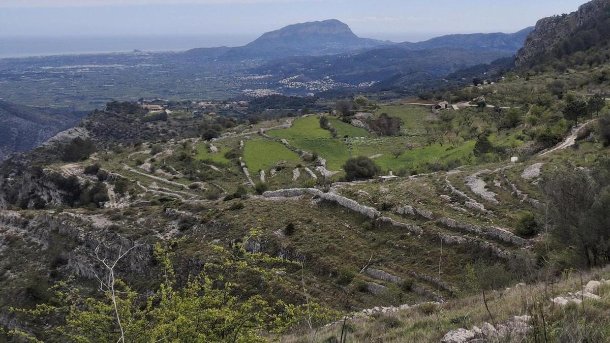 Bancales de la Vall de Laguar y, al fondo, el Montgó y el mar