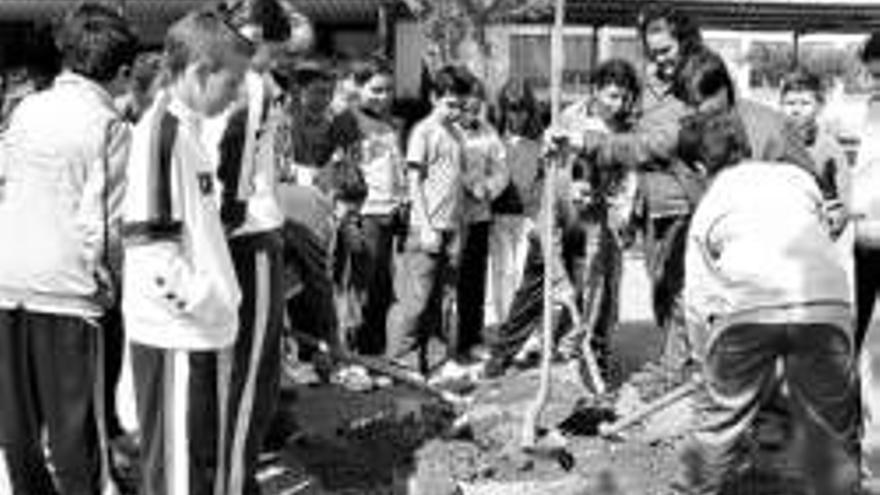 Niños plantan árboles en el colegio público El Pilar