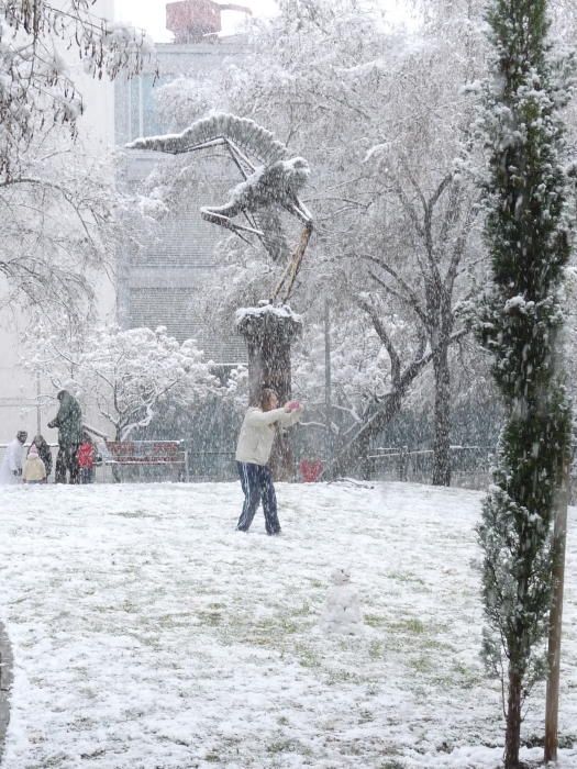 Cinco años de la gran nevada en Palma