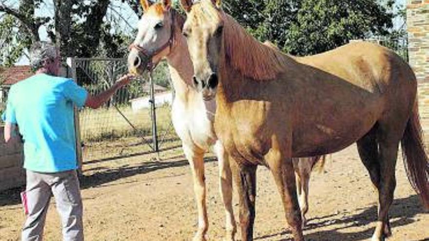 Caballerizas del paraje El Couso.