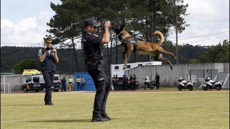 El Policía Nacional Emilio con la perra Mika en una exhibición en Ribeira.  